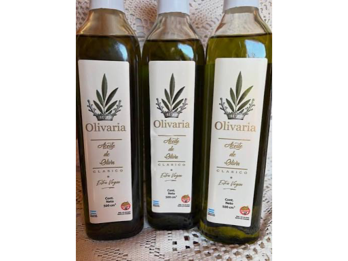ACEITE DE OLIVA OLIVARIA X1 und