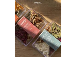 BOTÁNICO PARA GIN MALAYA