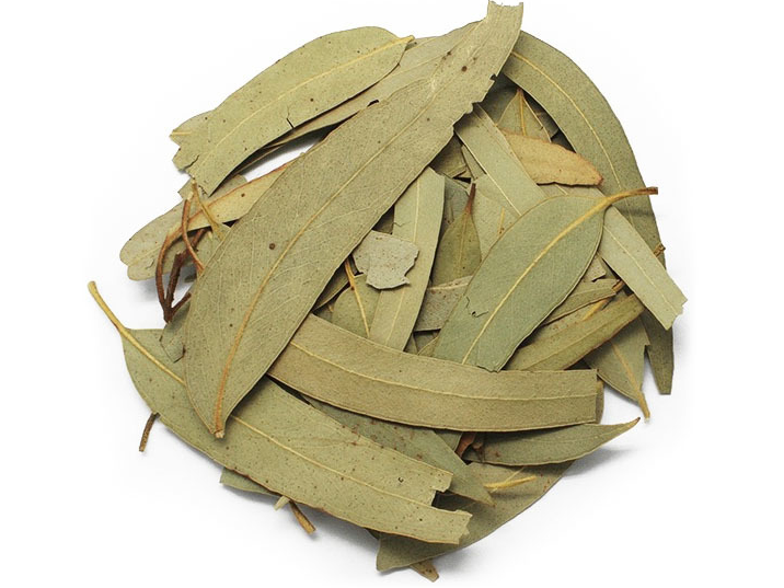 EUCALIPTUS 50GRS