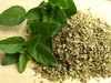 OREGANO 50GRS