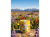 MIEL CREMOSA CAMPOS DEL SUR X250GRS