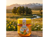 MIEL LIQUIDA CAMPOS DEL SUR X250GRS