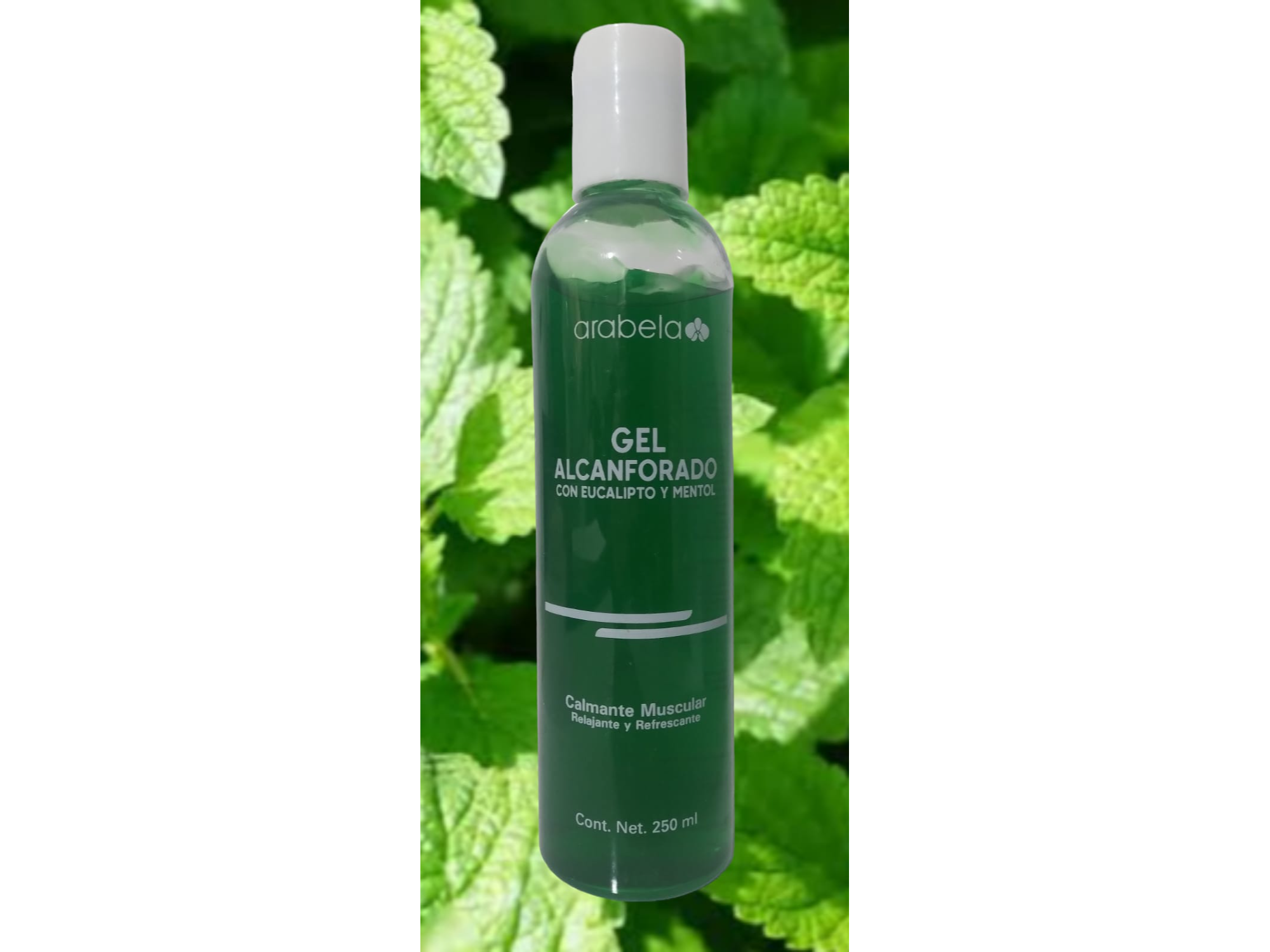 GEL ALCANFORADO CON EUCALIPTO Y MENTOL, CALMANTE MUSCULAR 250 ML.