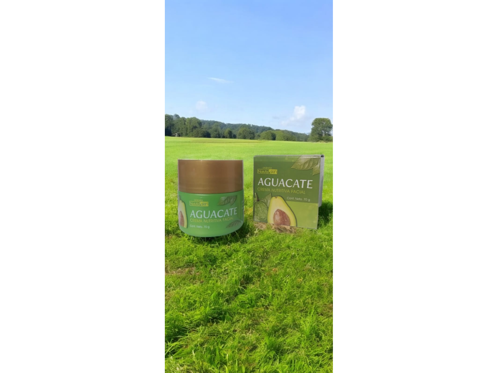 NATURAL SKIN, CREMA NUTRITIVA FACIAL C/ AGUCATE 70 G.