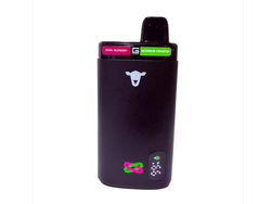 CHERRY RASPBERRY WATERMELON STRAWBERRY