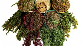 HIERBAS MEDICINALES