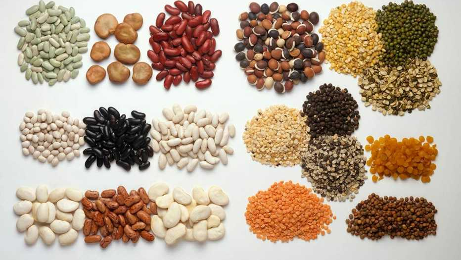 SEMILLAS Y LEGUMBRES