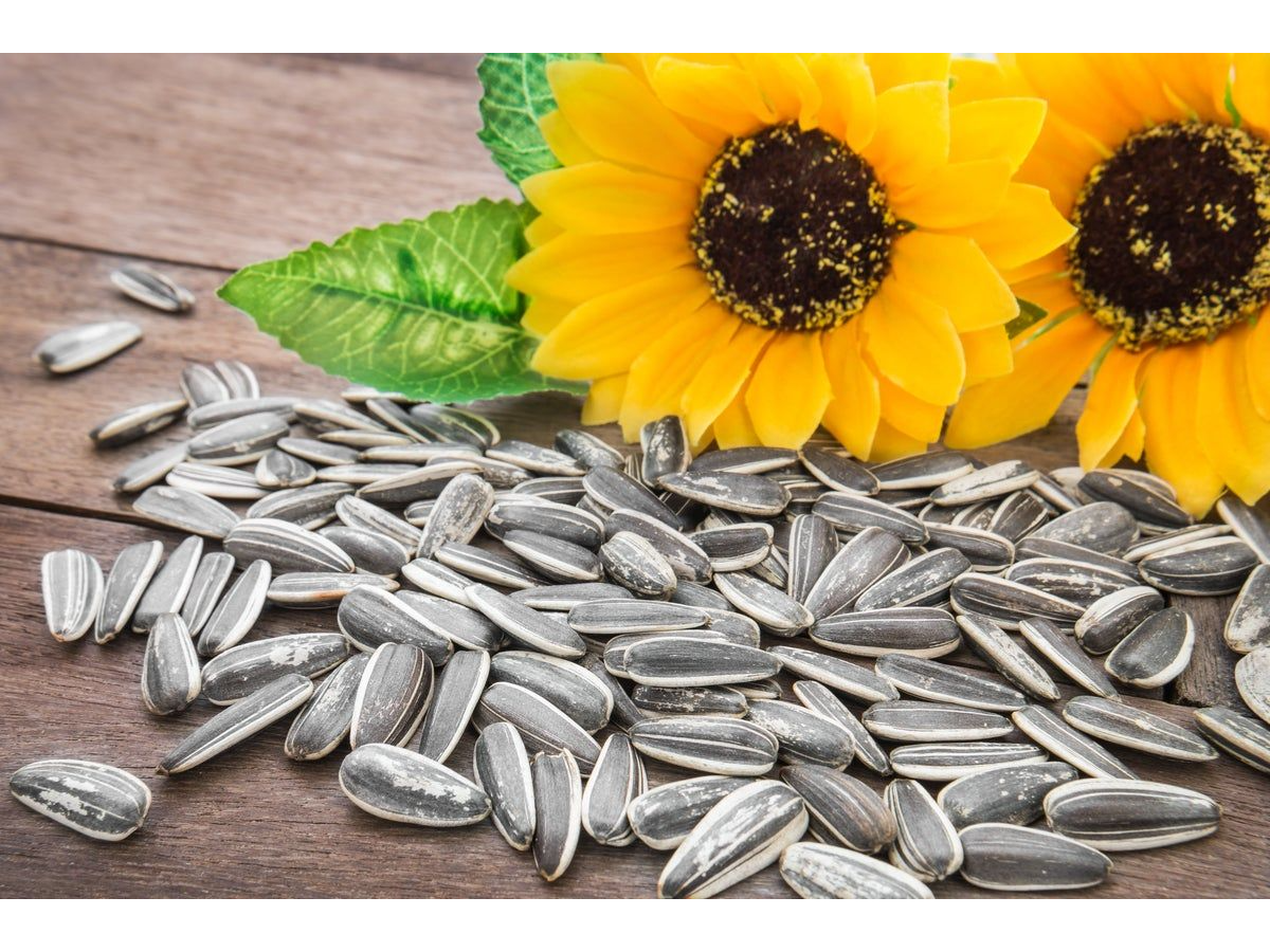 SEMILLAS DE GIRASOL PELADO