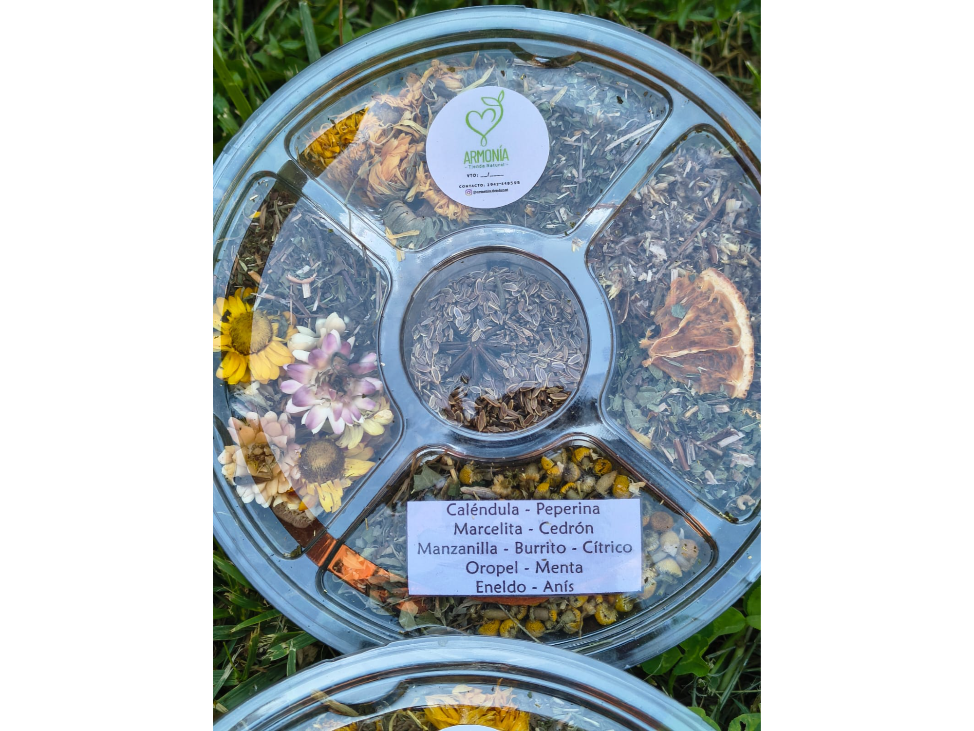 RUEDITA COMPUESTA N°5 "ENELDO"