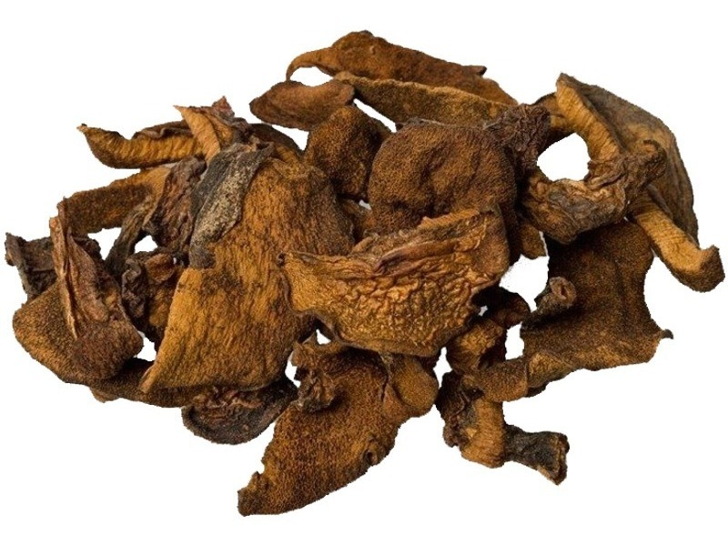 HONGOS SECOS