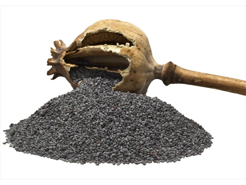SEMILLAS DE AMAPOLA