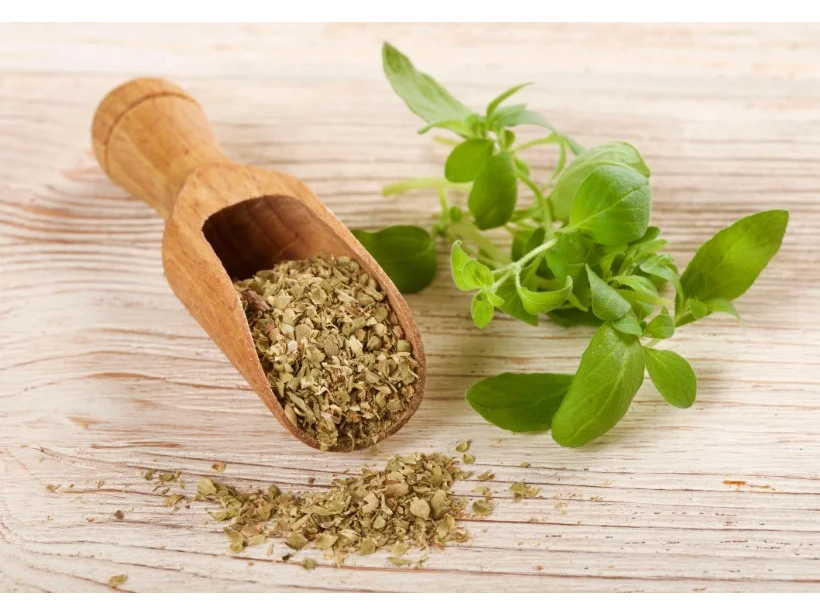 OREGANO