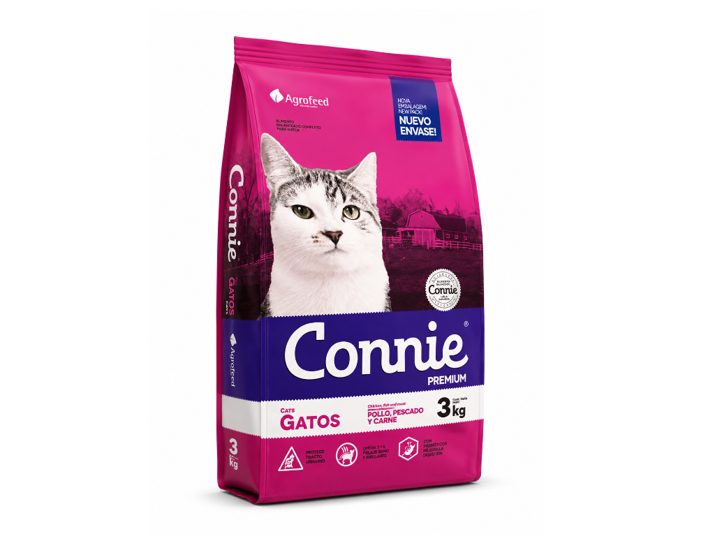 Gato