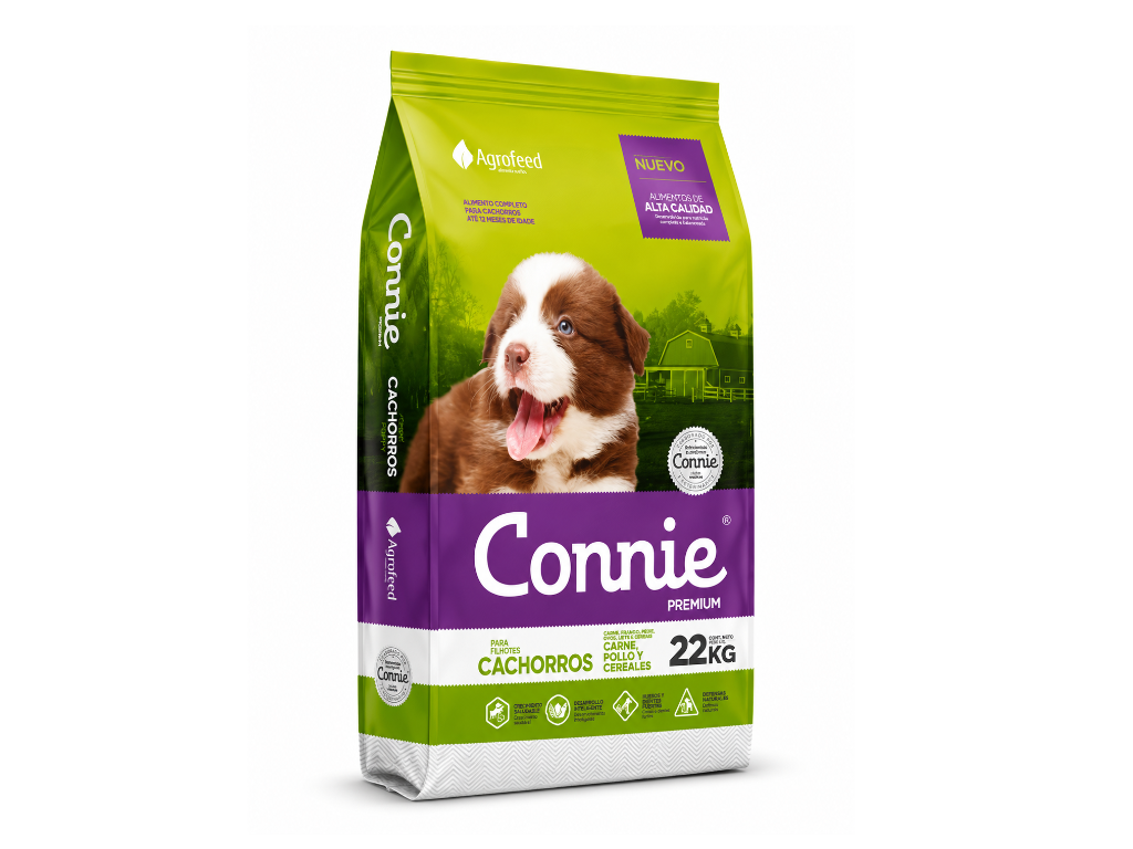 Perro Cachorro