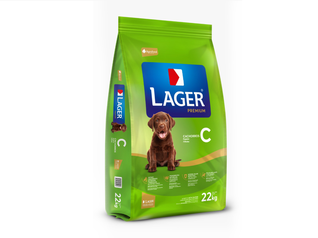 Perro Cachorro