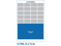 1/3 de página - PROMO 3Meses