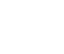 Logo Recta Martinolli