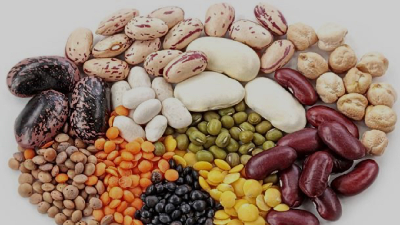 Legumbres y cereales
