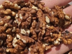 Nueces chandler