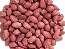 Maní runner crudo