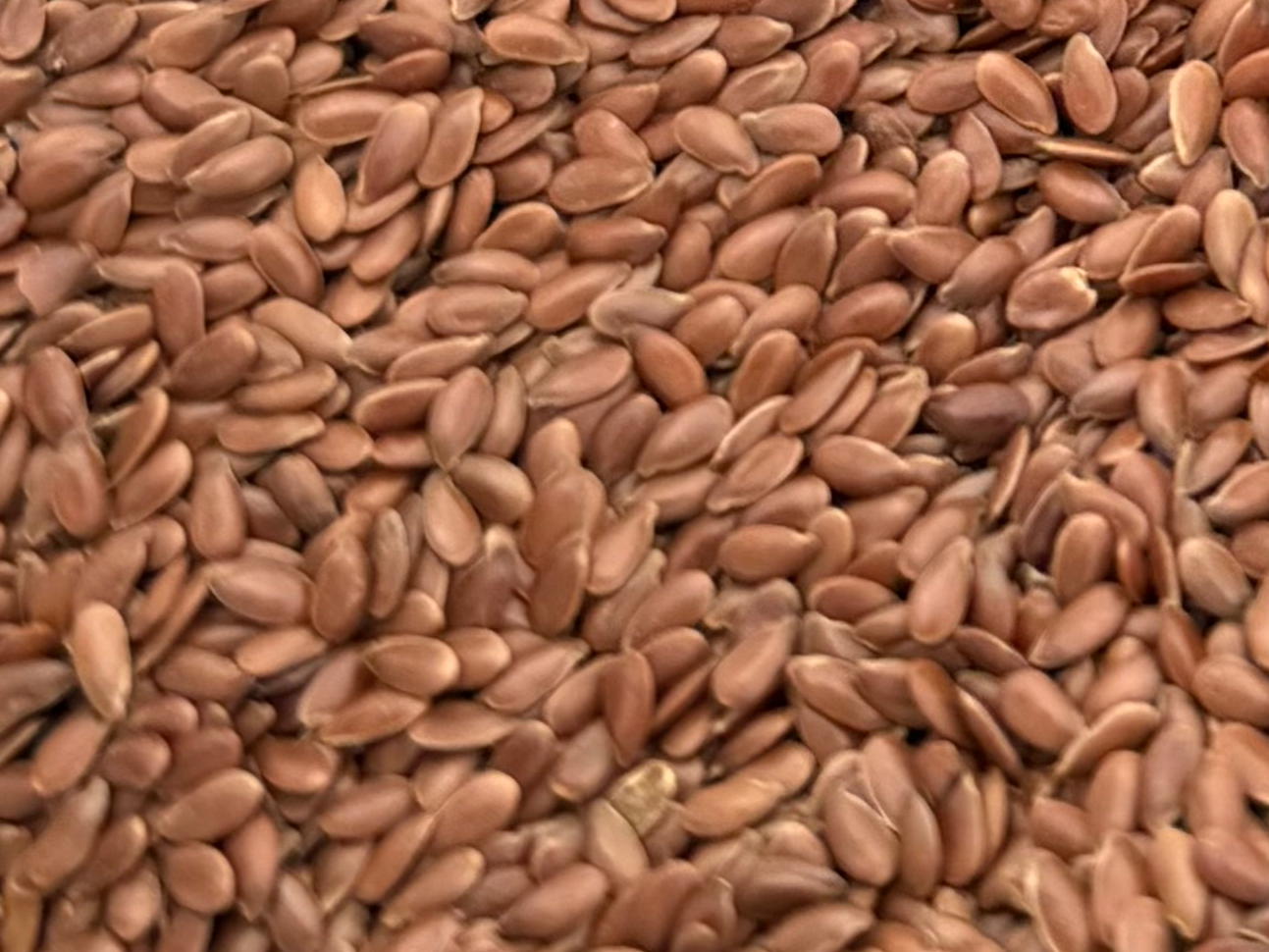 Semilla de lino marrón de All Natural