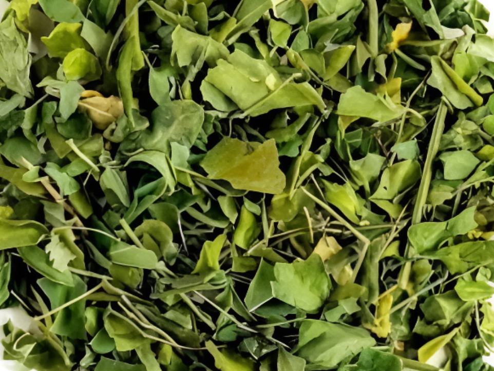 Moringa