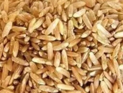 Arroz integral largo fino
