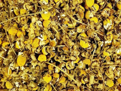 Manzanilla flor