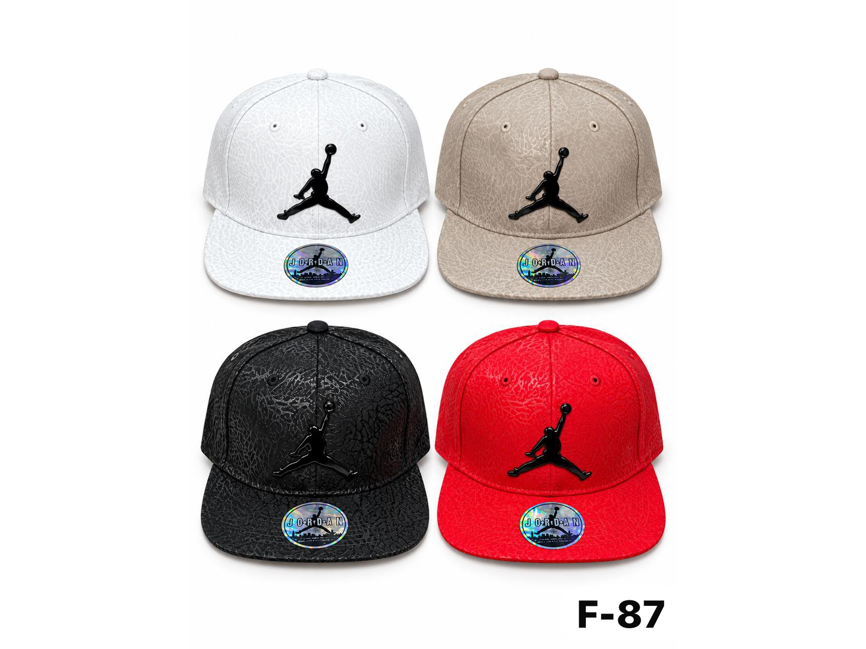 GORRA PLANA JORDAN CHAPITA + RELIEVE  | F-87