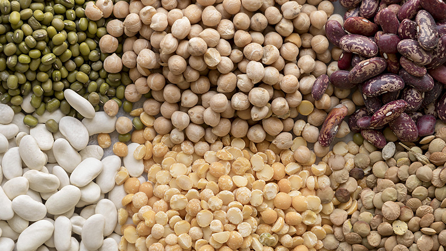 Legumbres