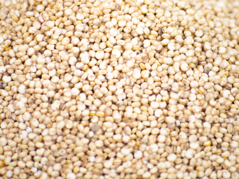 Quinoa