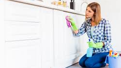 Multiuso, Desengrasantes y Removedores