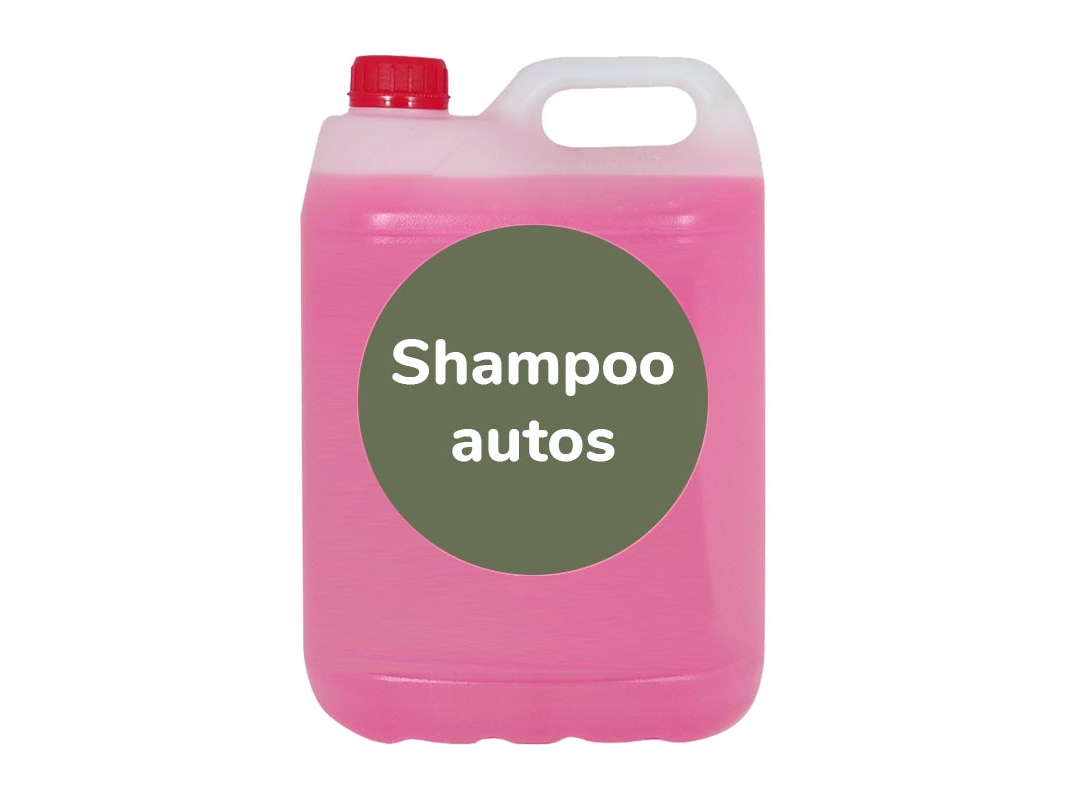 Shampoo para auto x 5lts