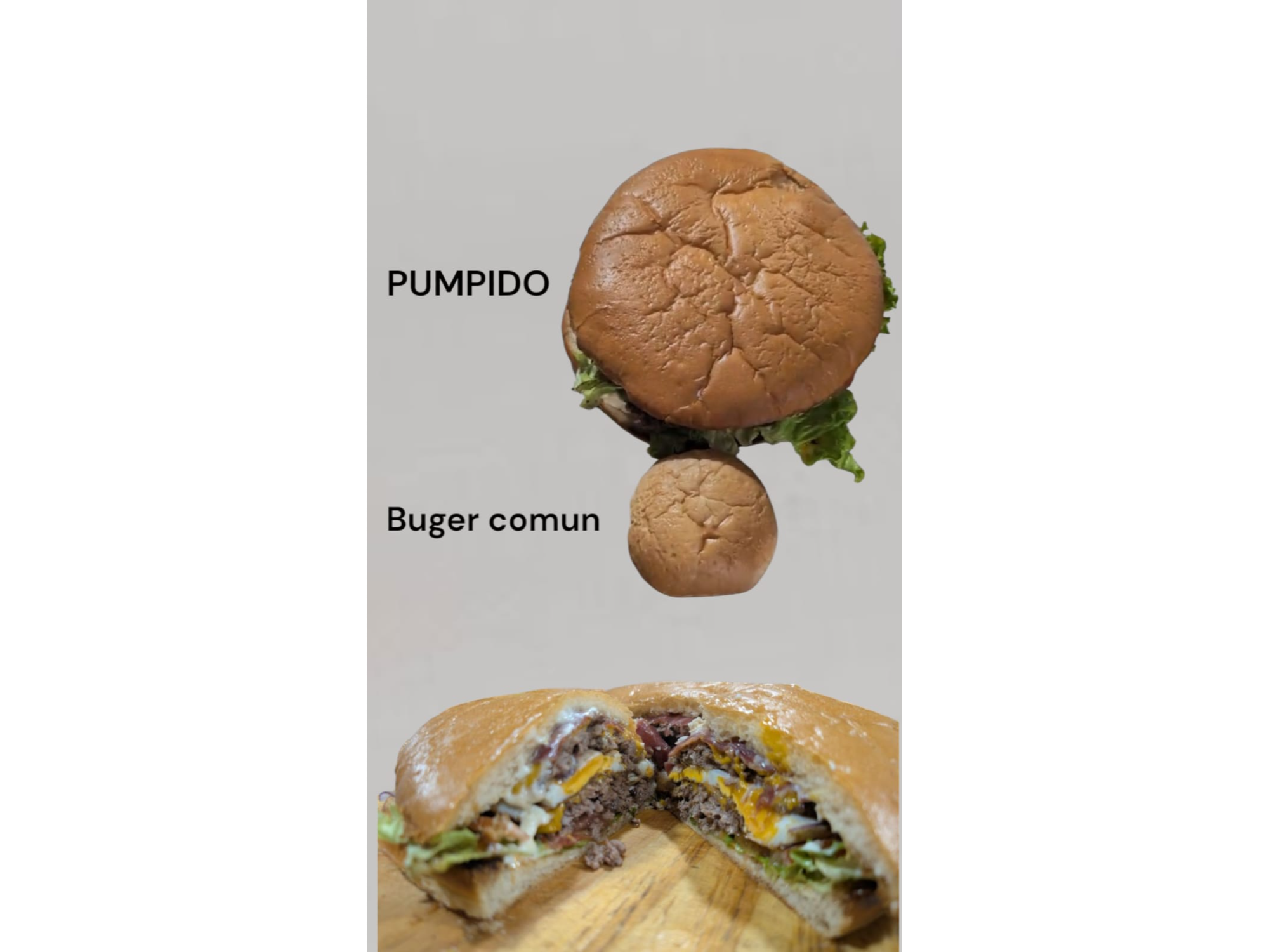 PUMPIDO (HAMBUR FAMILIAR)