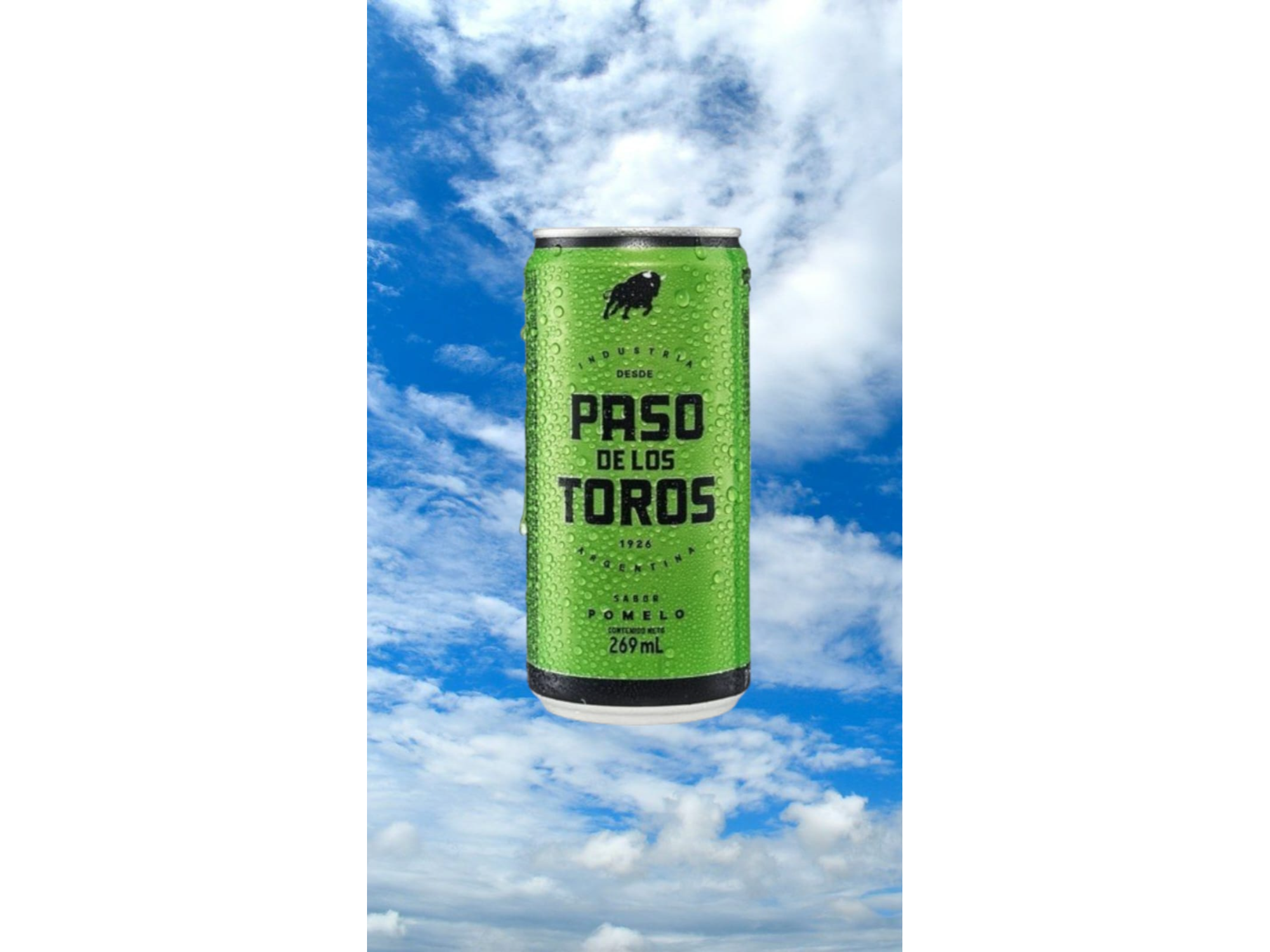 PASO DE LOS TOROS POMELO 269 CC