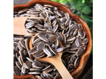 Semilla de Girasol - (x 250grs)