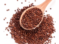 Semilla de Quinoa (Roja) - (x 250grs)