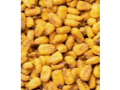 Maíz Frito (Sabor Original) - (1 Kg)