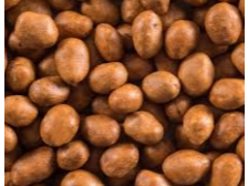 Maní - (Japonés) - (x 1 Kg)