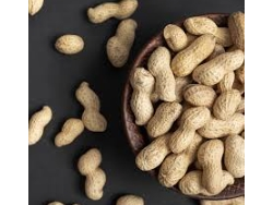 Maní - (Vaina) - (x 1 Kg)