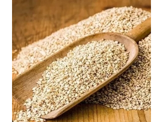 Semilla de Quinoa (Blanca) - (x 250grs)
