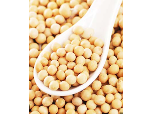 Porotos (Soja) - (x 1 Kg)