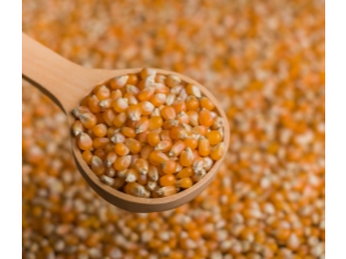 Maíz Pisingallo - (x 1 Kg)