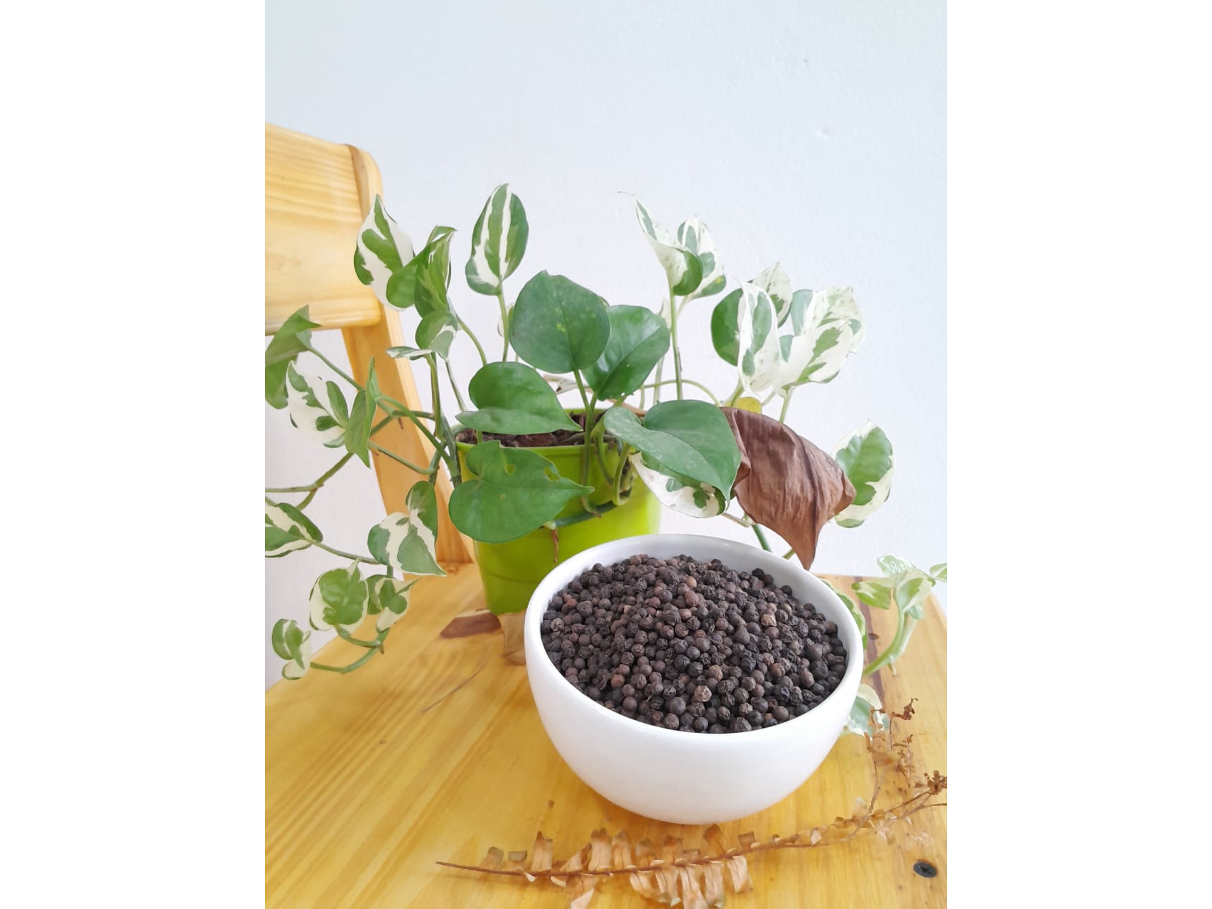 Pimienta negra en grano