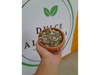 Carqueja