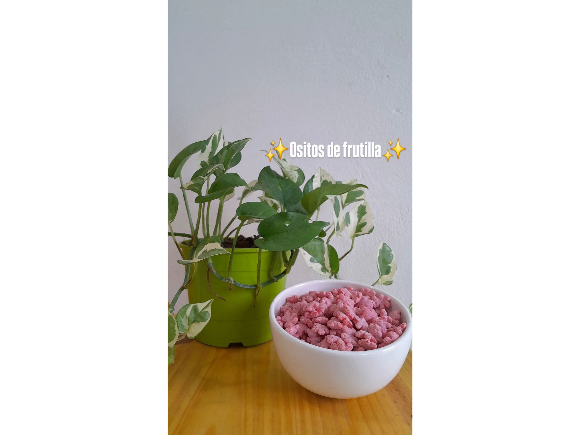 Ositos de frutilla