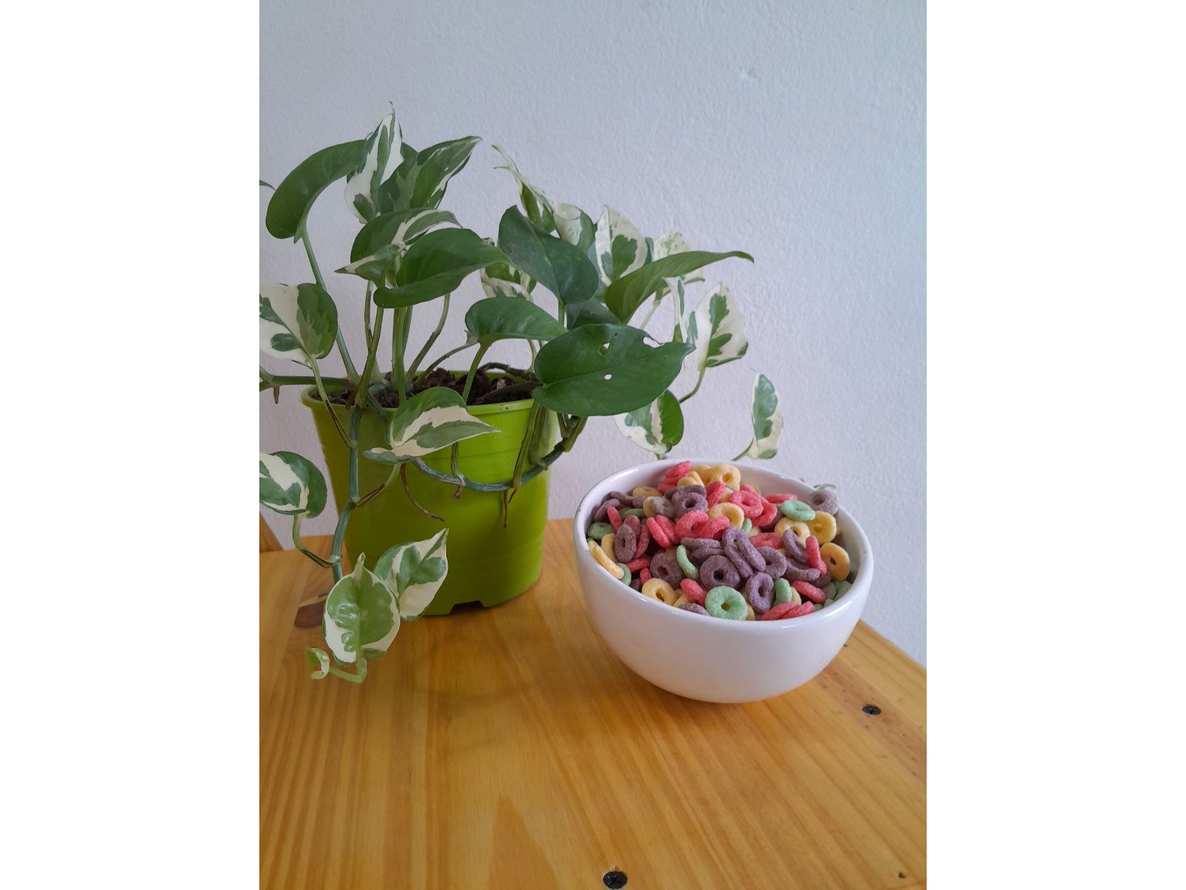 Anillitos de colores