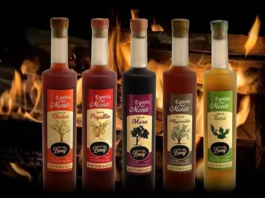 ESPIRITU DEL MONTE  (BEBIDA SECA DE 45°)