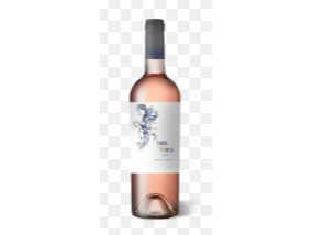 WAYTA VARIETALES ESPECIALES