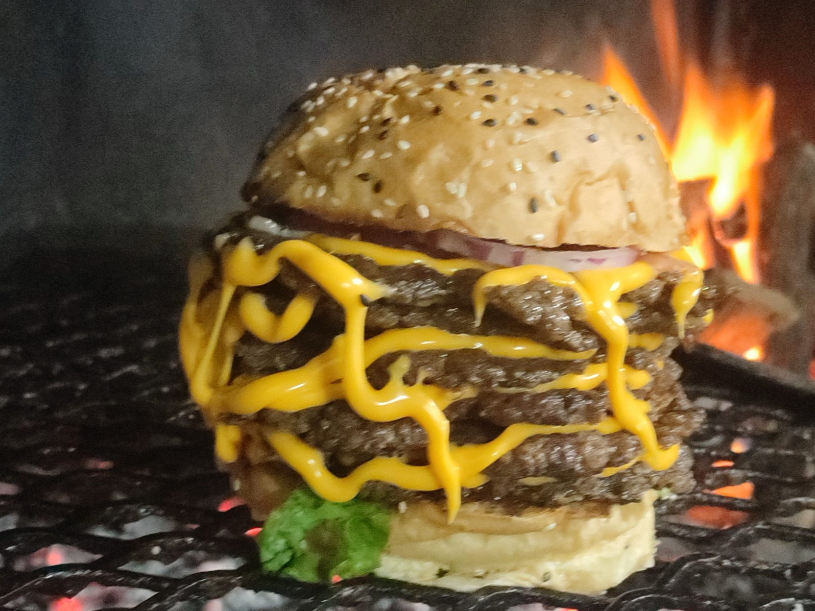 Alta burger x 5